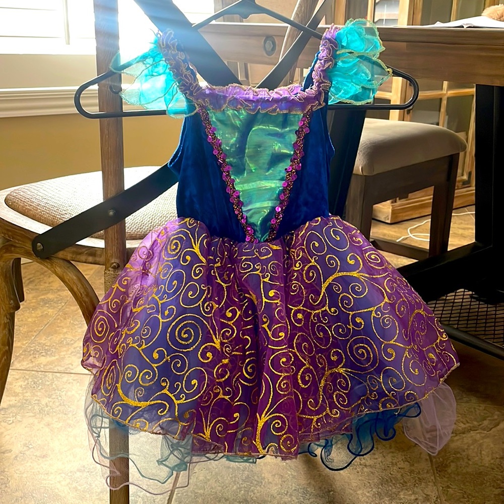 Girls costume. Size small (4)